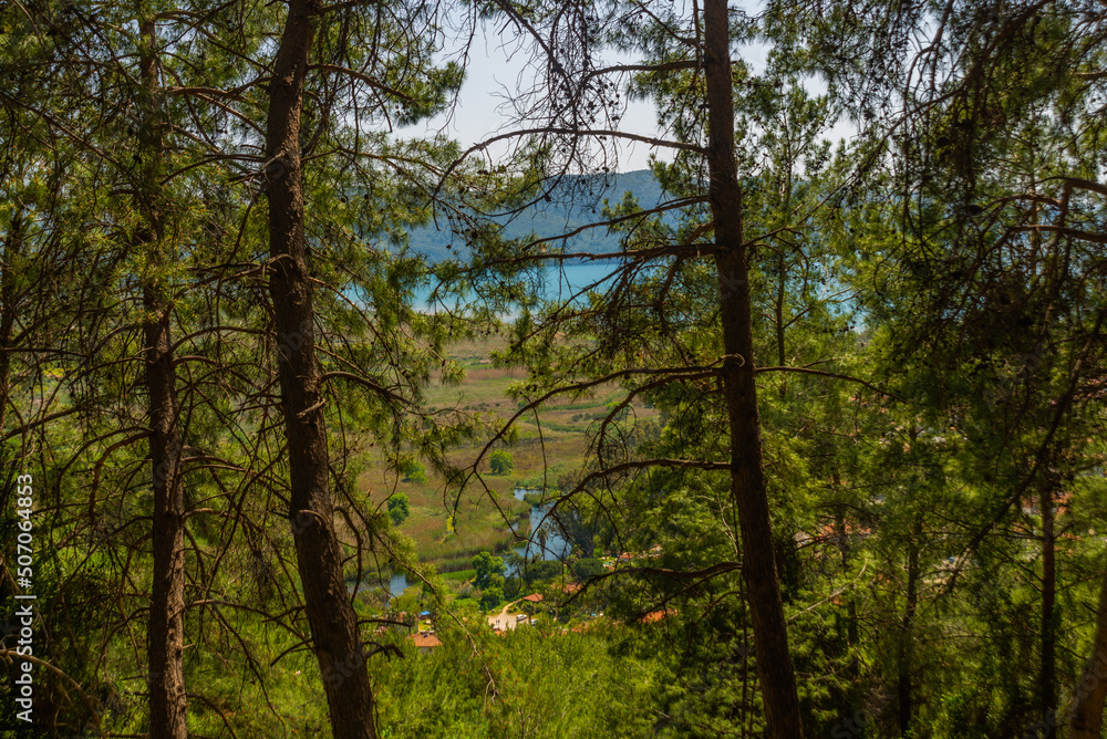 AKYAKA, MUGLA, TURKEY: Landscape with a view of the pines and the river through the trees AKYAKA, MUGLA, TURKEY: Landscape with a view of the pines and the river through the trees