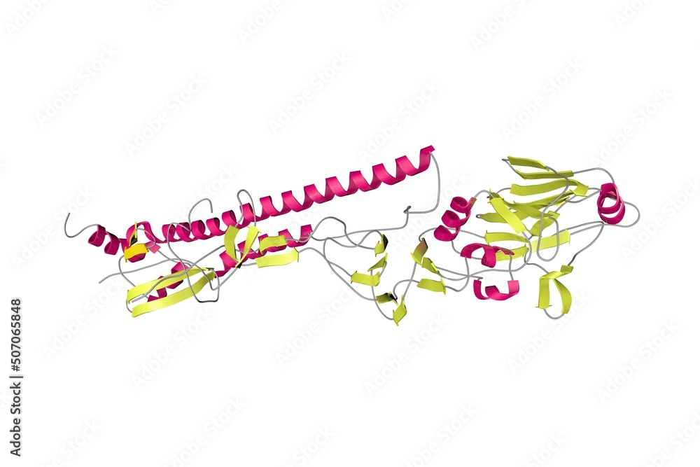 Crystal structure of influenza virus hemagglutinin. Ribbons diagram in secondary structure coloring based on protein data bank entry 2viu. Scientific background. 3d illustration