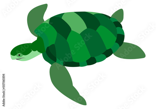 Tortuga marina de color verde.