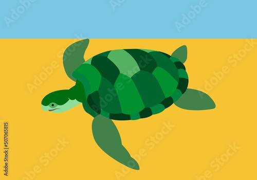 Tortuga marina de color verde.