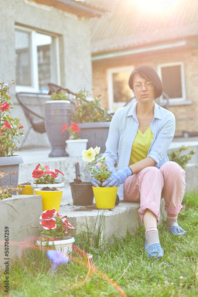 Woman planting petunia surfinia flowers pot, gardening concept at home Woman planting petunia surfinia flowers pot, gardening concept at home