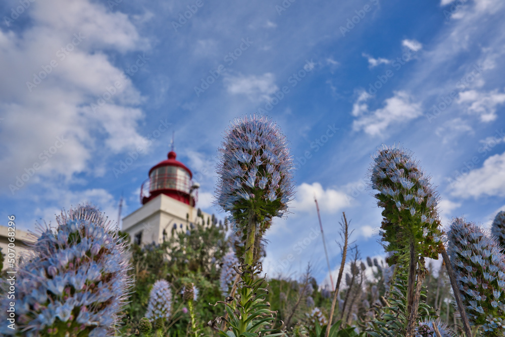 Lighthouse Ponta do Pargo - Madeira Portugal - travel background with flowers in foreground