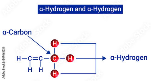 Alpha carbon and alpha hydrogen