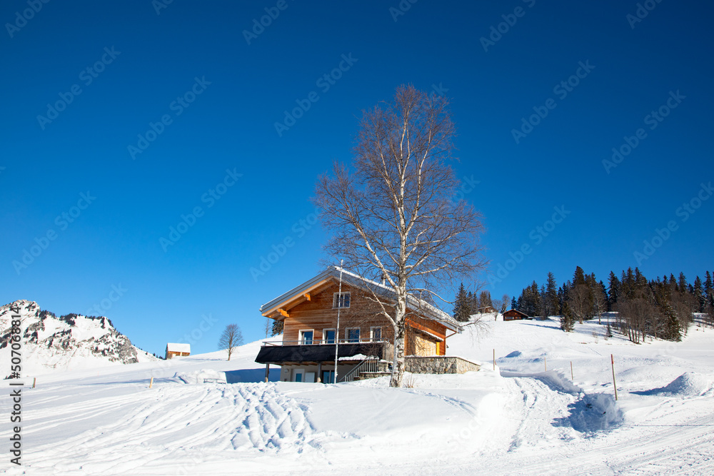 Winter in alps