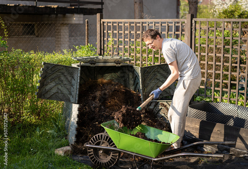 Middle aged man digging and loading ready made compost into a wheelbarrow to use it in a garden. Zero waste and recycling concept photo