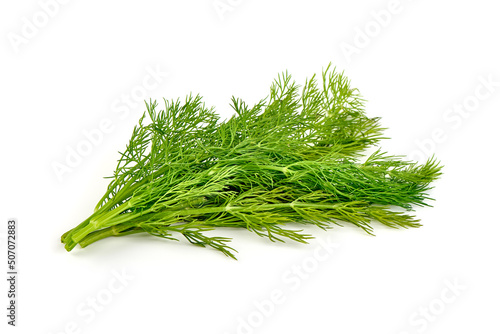 Fresh dill bunch, fresh condiments, isolated on white background.