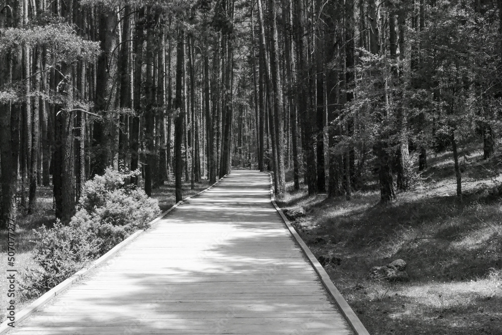 Fototapeta premium Río Cuervo, Cuenca