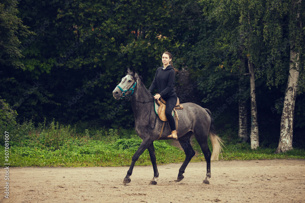Young girl sits astride a grey horse. Girl larkes on black horse Young girl sits astride a grey horse. Girl larkes on black horse