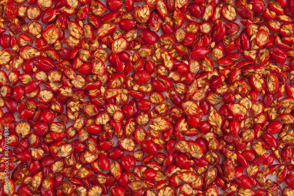 Dried rosa canina fruit. Dried rosa canina fruit.