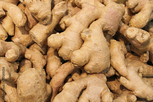 Ripe roots juicy spicy ginger on sale big pile in a supermarket drawer
