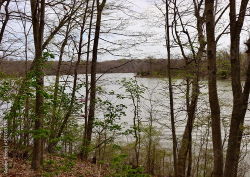 A view of the lake though the leaves and trees of the woods.