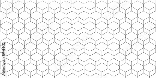 Hexagon pattern background in grey color and line art black and white design. Modern design with graphic lines in cube shape. Design art for textile, ornament and decoration. Vector 