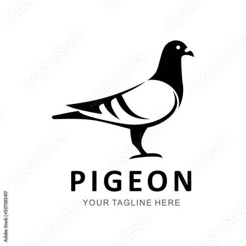 pigeon logo photo