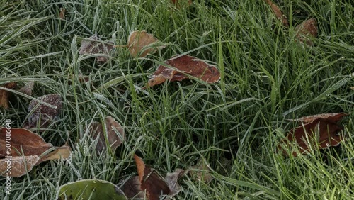 Winter morning grass snow melting situation