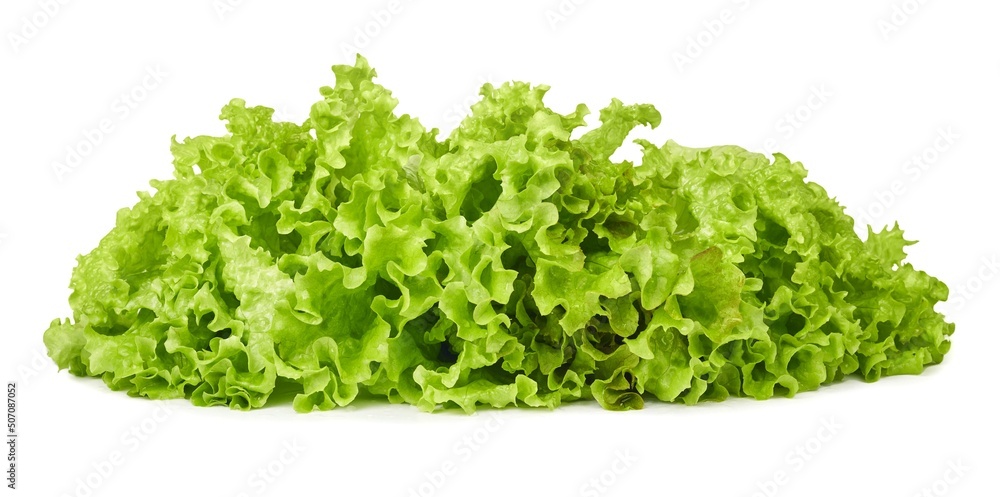 Lettuce bunch isolated on white background Lettuce bunch isolated on white background