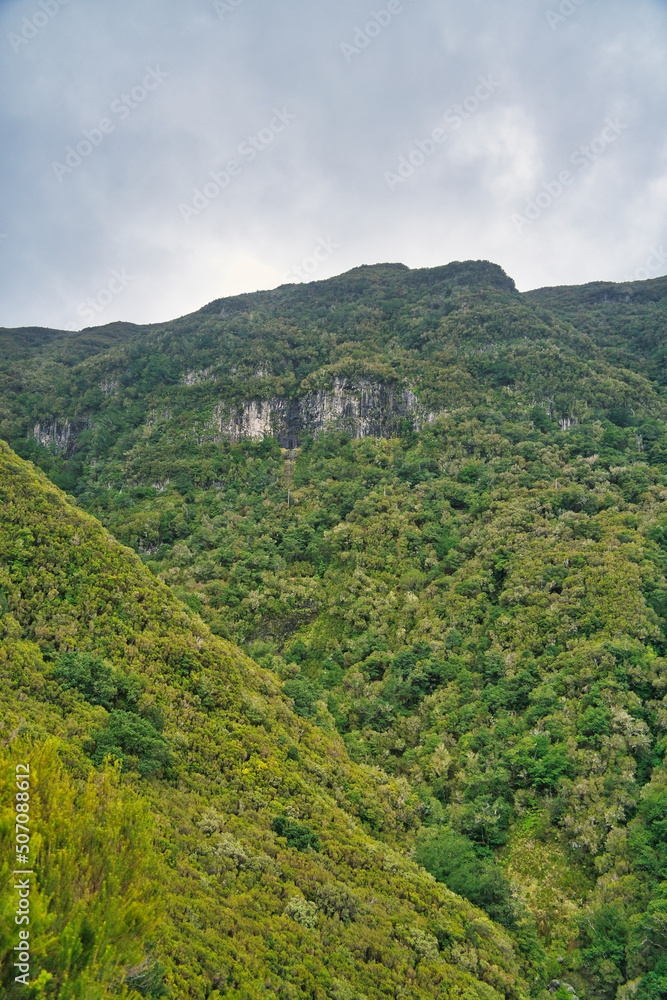 The magnificent inland of the island of Madeira, hiking, Laurisilva Nationalpark