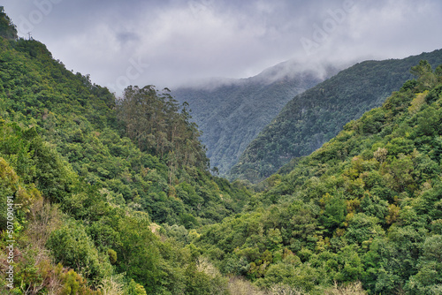The magnificent inland of the island of Madeira, hiking, Laurisilva Nationalpark