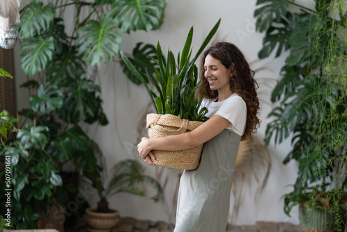 Plant care. Woman florist taking care about snake plant in home garden, holding Sansevieria houseplant in wicker planter and touching green leaves while standing in greenhouse, selective focus