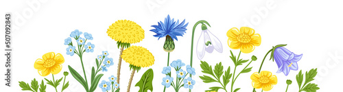 Horizontal banner with colorful blooming wild flowers. Floral background with dandelion, cornflower, buttercup and meadow plants and leaves. Spring botanical vector illustration on white background.