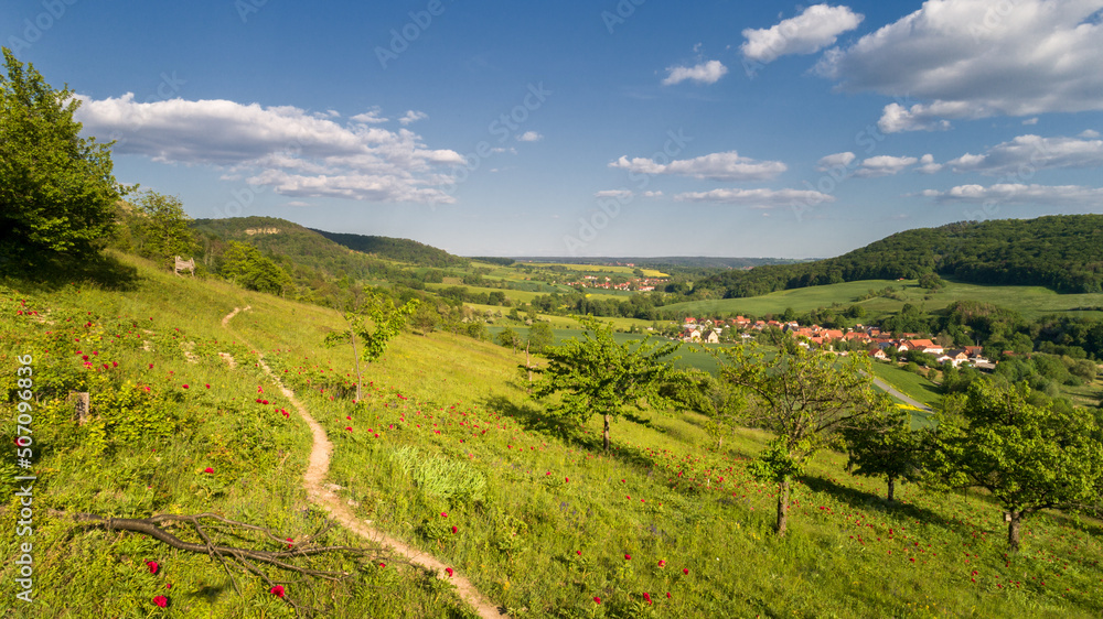 Wanderweg durch verwilderte Pfingstrosenfelder im Gleistal bei Jena in Thüringen - Paeonia - Blick auf das Dorf Löberschütz