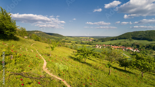 Wanderweg durch verwilderte Pfingstrosenfelder im Gleistal bei Jena in Th  ringen - Paeonia - Blick auf das Dorf L  bersch  tz
