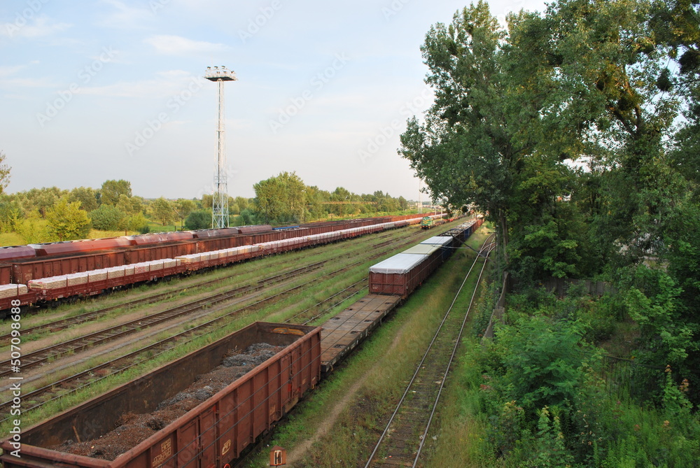 railway carriages of various types on a siding, tracks, tracks, brush