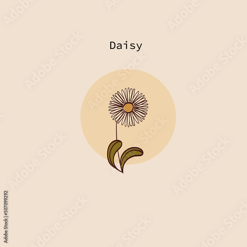 vector illustration of a daisy in a simple hand-drawn style