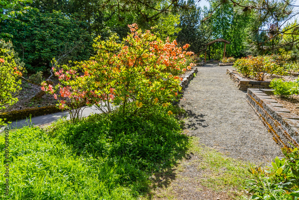 South_Seattle_Arboretum_Walkway 5