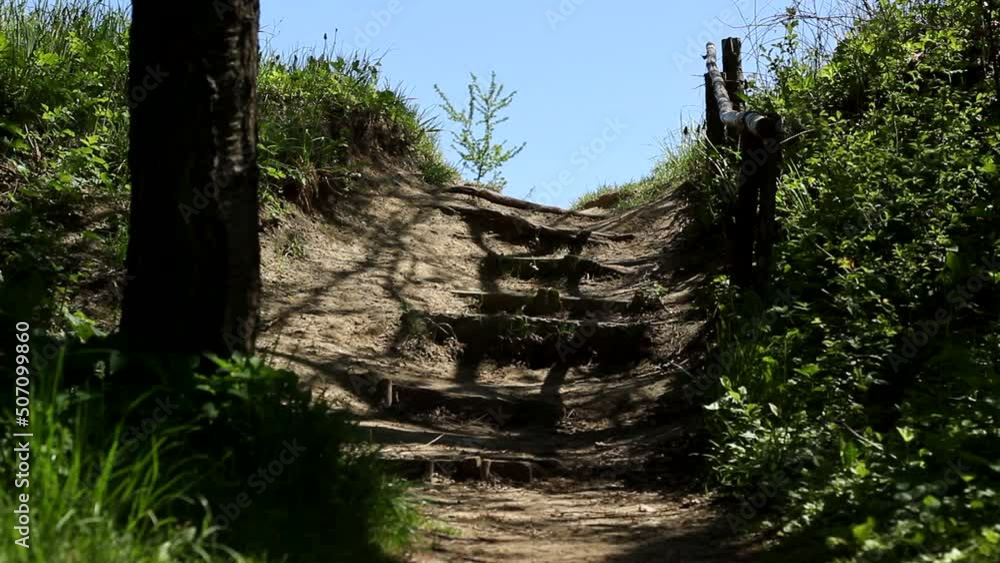 Path uphill, steps carved into the ground, handmade ladder in the woods. Path uphill, steps carved into the ground, handmade ladder in the woods.