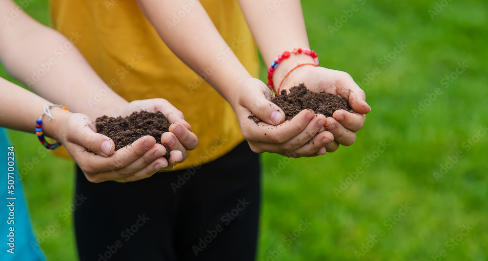 The child holds the soil in his hands. Selective focus.