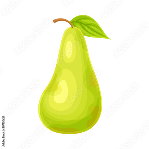 Whole Ripe Green Pear Pomaceous Fruit as Organic Garden Crop Vector Illustration