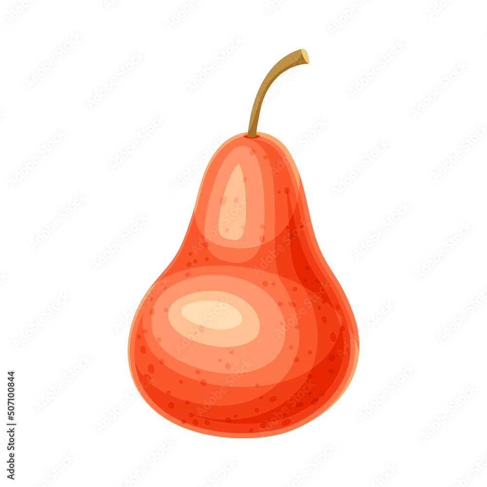 Whole Ripe Red Pear Pomaceous Fruit as Organic Garden Crop Vector Illustration Whole Ripe Red Pear Pomaceous Fruit as Organic Garden Crop Vector Illustration
