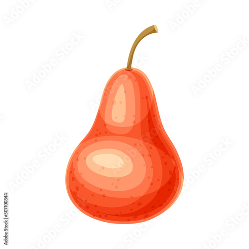 Whole Ripe Red Pear Pomaceous Fruit as Organic Garden Crop Vector Illustration