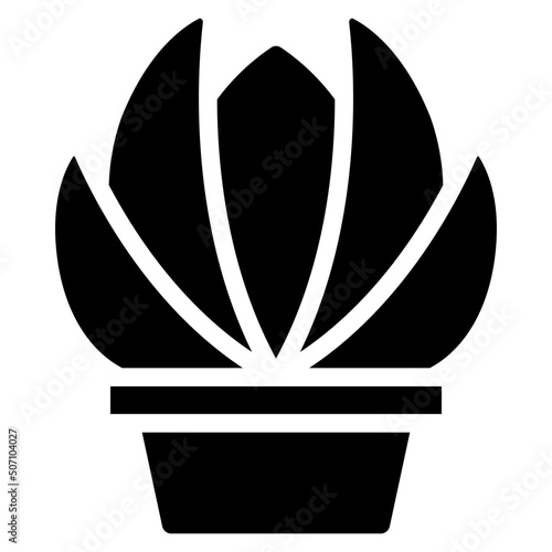 Echeveria Icon