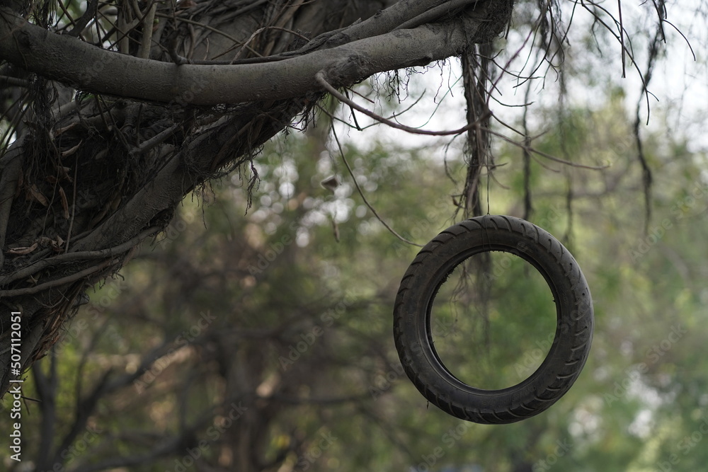 tire swing in the park tire swing in the park