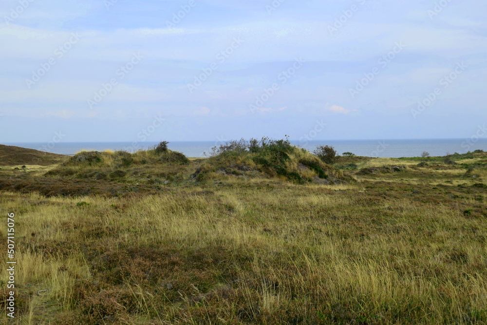 Braderuper Heide, sylt Braderuper Heide, sylt