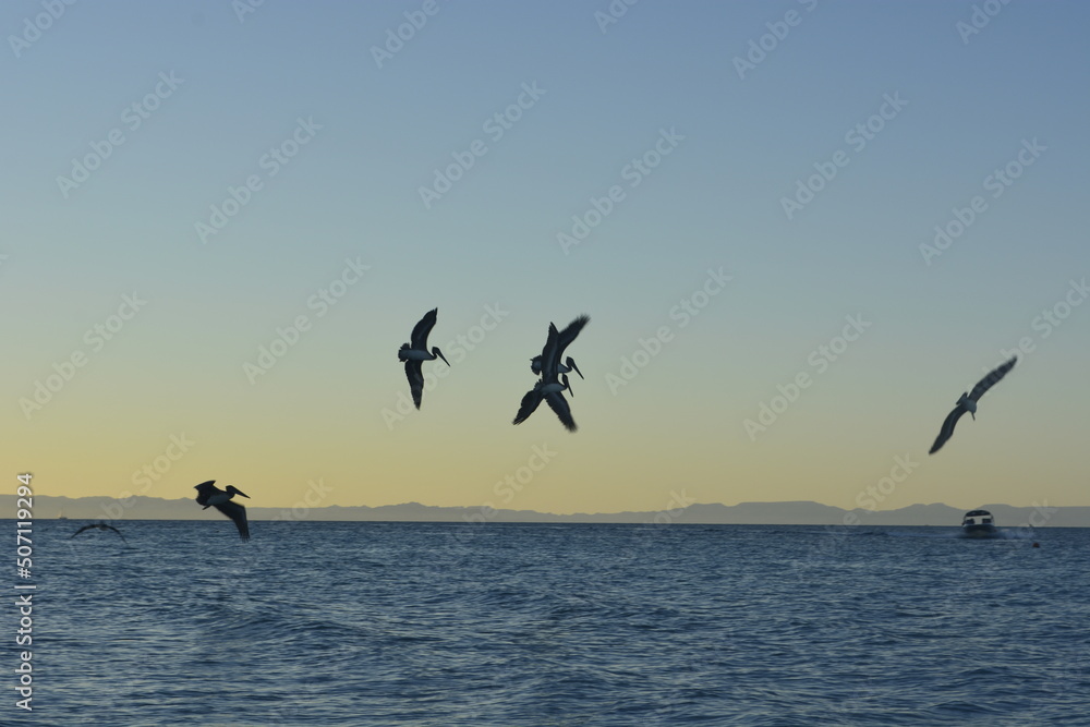 Fototapeta premium kite surfing on the beach