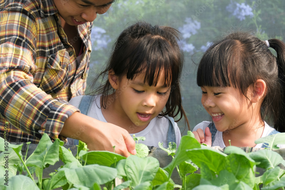 Young mother in straw hat teaching her daughters in backyard garden. Little girl helps her mother in the garden, a little gardener. Cute girl planting vegetables in the garden. Young mother in straw hat teaching her daughters in backyard garden. Little girl helps her mother in the garden, a little gardener. Cute girl planting vegetables in the garden.
