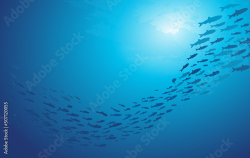 School of fish swimming under water of sea. School sardinella fish swims in underwater photo