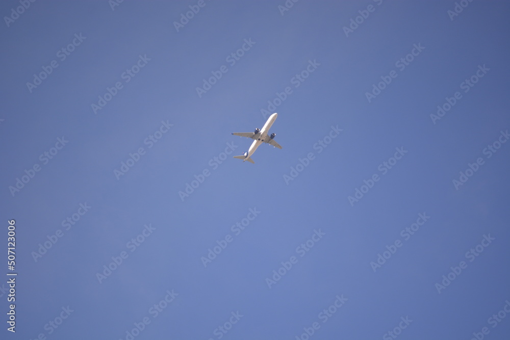 Fototapeta premium osprey in flight