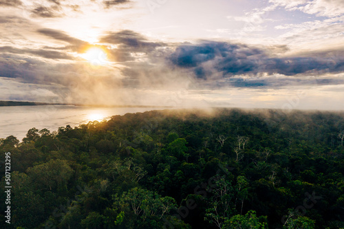 Amazon Rainforest Aerial View. Tropical Green Jungle in Peru, South America. Bird's-eye view.