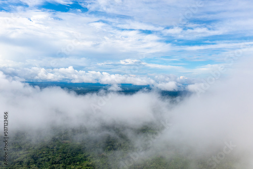 Amazon Rainforest Aerial View. Tropical Green Jungle in Peru, South America. Bird's-eye view. © Curioso.Photography