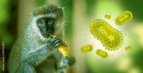 Photography Monkeypox outbreak concept