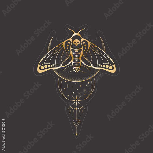 Obraz na płótnie Vector mystic celestial sticker a with golden outline insect, stars, crescents and geometric elements