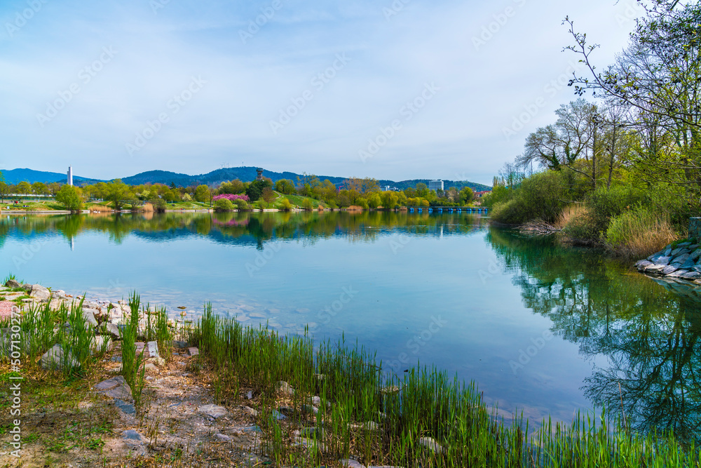 Germany, Freiburg im Breisgau city park seepark calm water in spring, a beautiful nature landscape inside the city in black forest