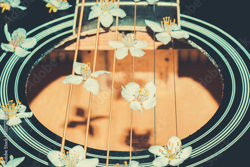 Photography Spring flowers on a musical instrument. Musical string instrumen