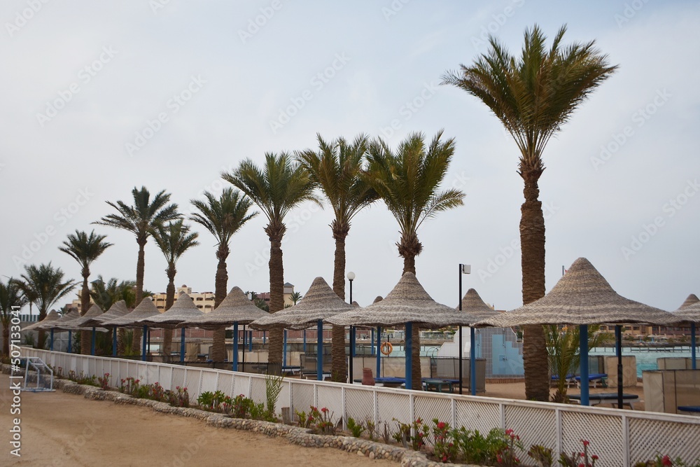 Row of umbrellas and palm trees, on Arabia Azur beach resort, in Hurghada, Egypt.