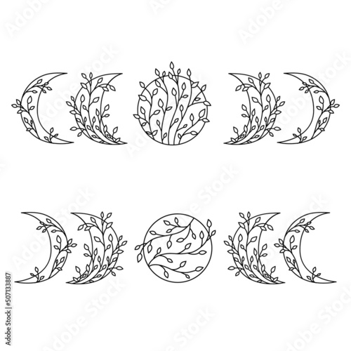 Outline floral moon phases.