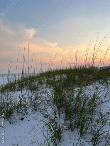 Florida beach sunset 
