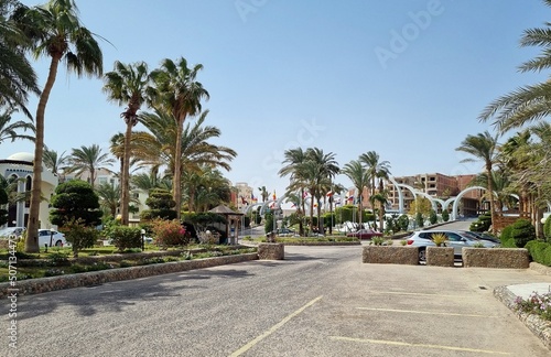 Alley with palm trees and green ornaments, at the entrance of Arabia Azur resort, in Hurghada, Egypt.